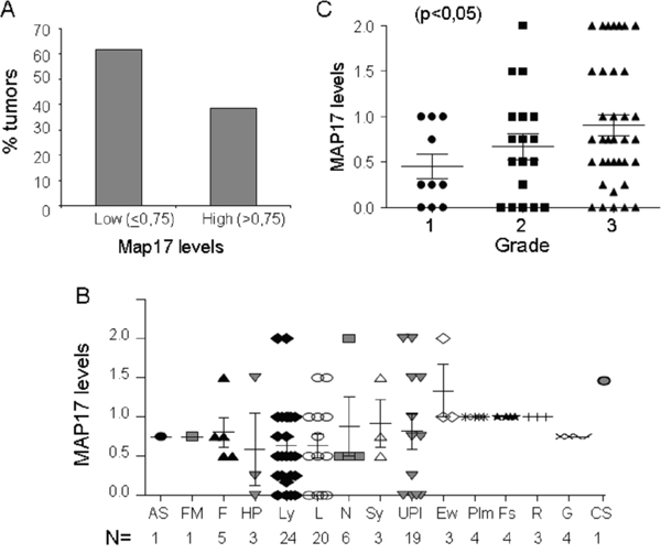 MAP17 expression in sarcoma tumors.