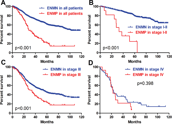 Prognosis of ENMN and ENMP groups in all patients, TNM I-II, III and IV stages.