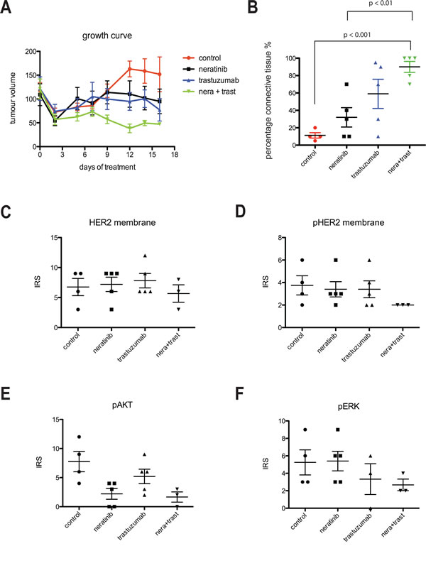 Combination of trastuzumab and neratinib was additive in tumor growth inhibition in BT474 xenograft model.