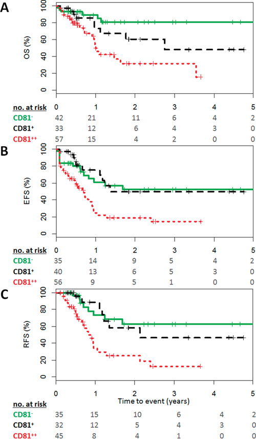 High CD81 expression on blast cells predicts poor outcome in AML.