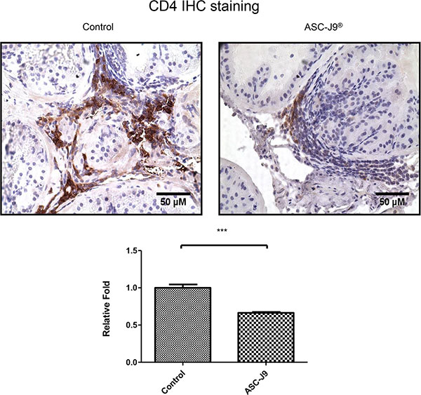 ASC-J9&#x00AE; reduces CD4+ T cell infiltrates in the NOD mouse.