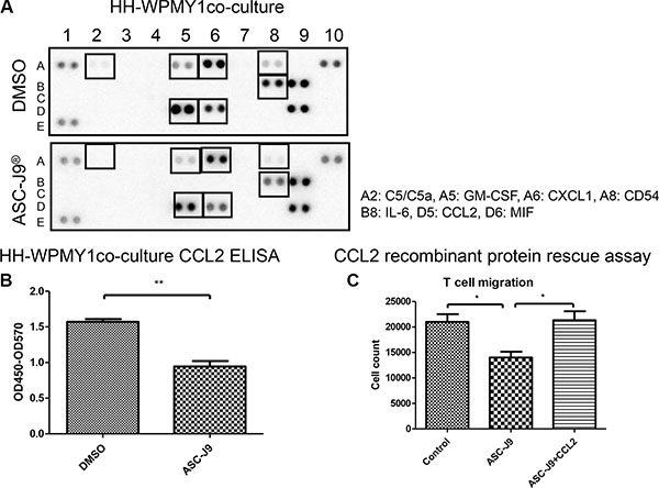 ASC-J9&#x00AE; reduces CD4+ T cell migration to the prostate stromal cell through decrease of cytokine CCL2.
