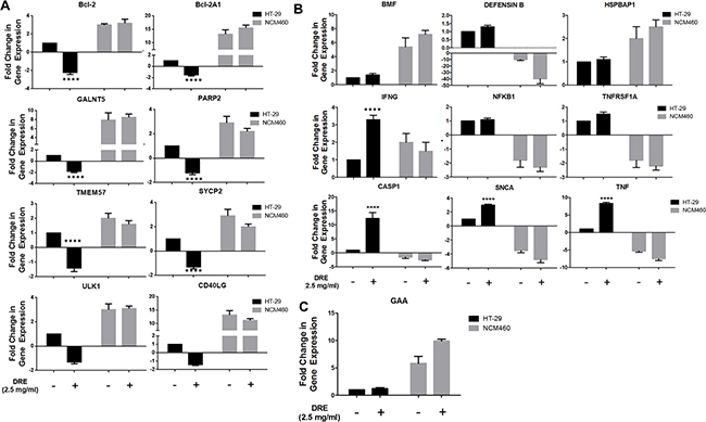 Differential fold change in expression of cell death genes in human colorectal cancer (HT-29) versus normal colon mucosal epithelial cells (NCM460).