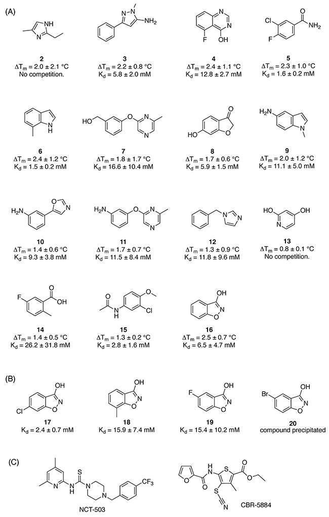 Screening hits and elaborated hit molecules for PHGDH.