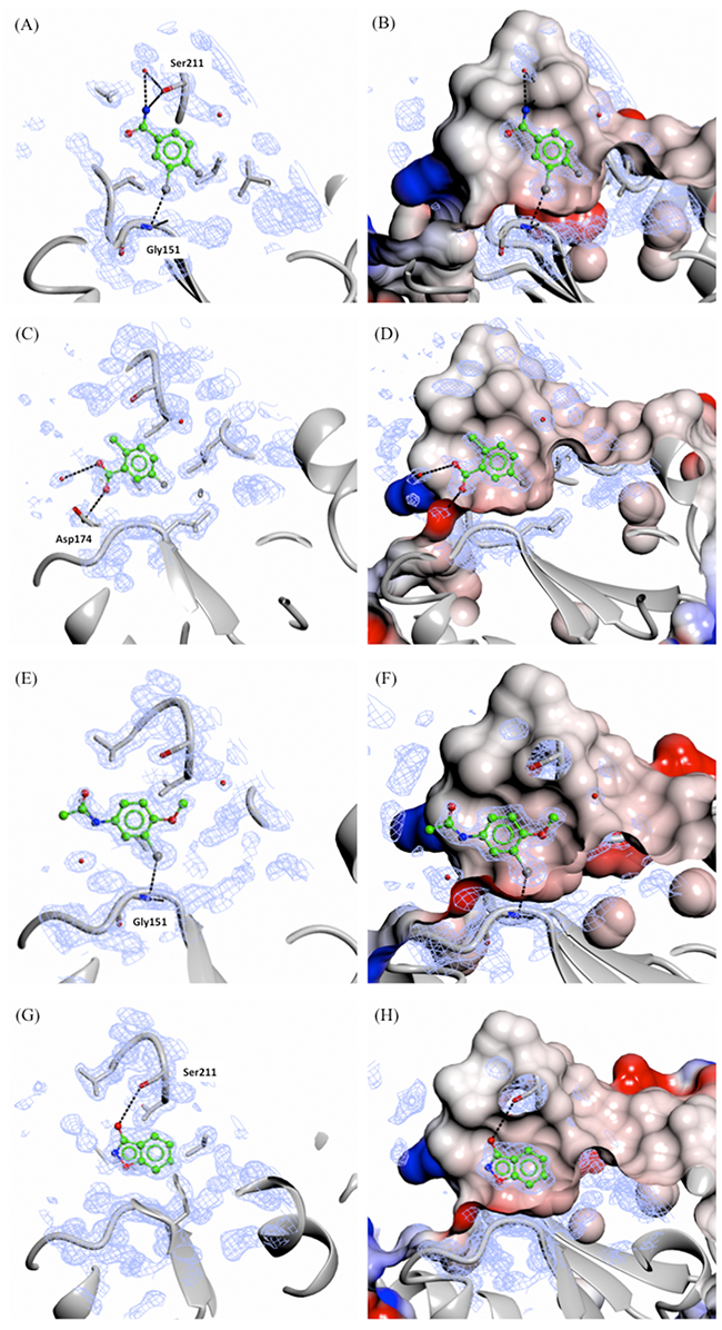 X-ray crystal structures of fragments forming specific hydrogen and/or halogen bonds with PHGDH.