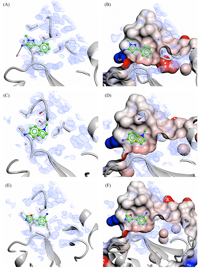 X-ray crystal structures of fragments not showing specific interactions bound to the adenine-subsite of PHGDH.