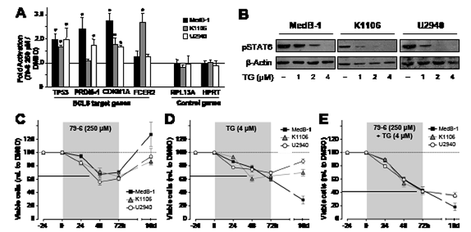 Combined treatment of PMBL cell lines with inhibitors against JAK2 (TG101348) and BCL6 (79-6) results in additive efficacy in cell viability assays.