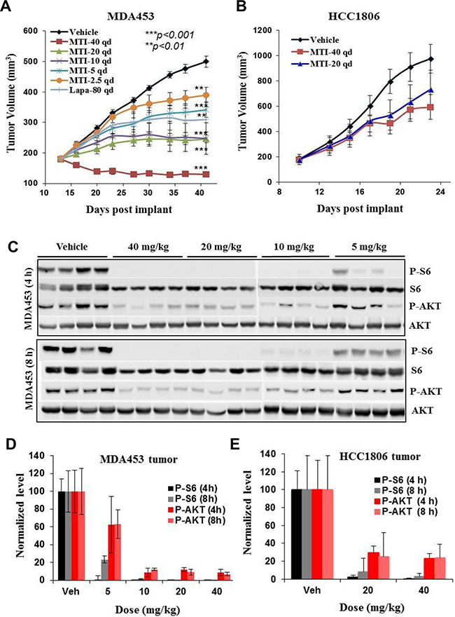In vivo antitumor efficacy and mTOR-biomarker suppression profile of MTI-31.