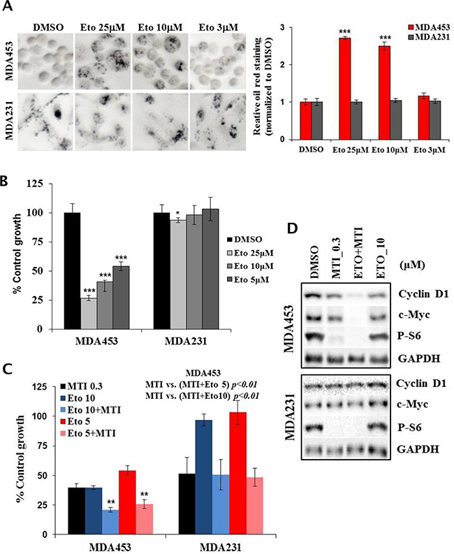 CPT1A inhibitor selectively blocks lipid catabolism and growth in MTI-31-sensitive tumor cells.