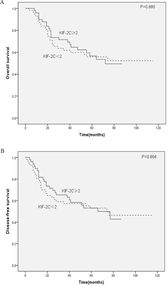 Kaplan&#x2013;Meier analysis of female patients with ESCC.