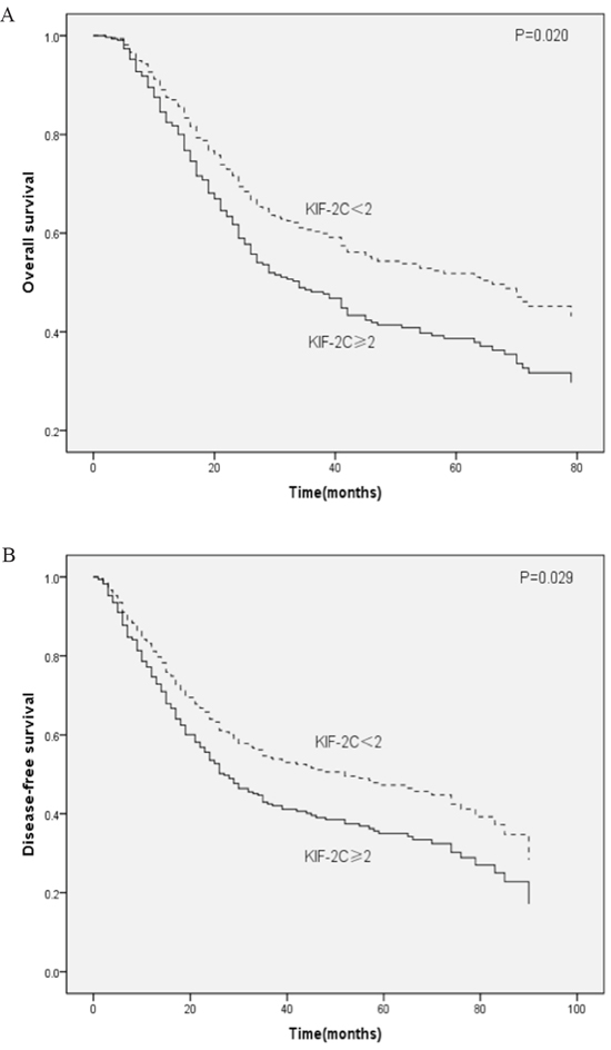 Kaplan&#x2013;Meier analysis of male patients with ESCC.