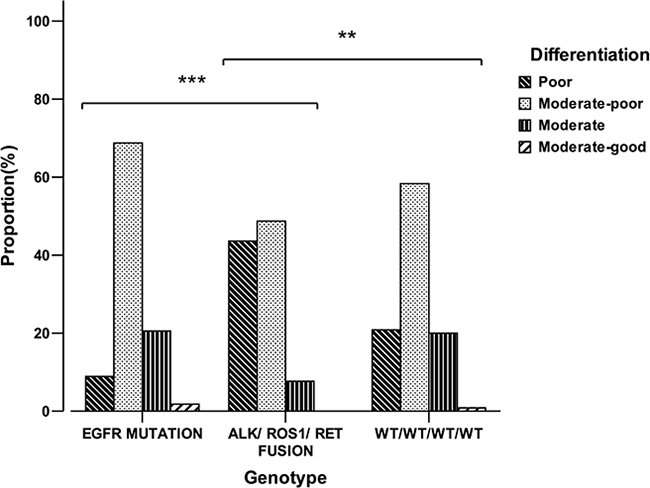 Comparison of differentiation between EGFR mutation, ALK/ROS1/RET fusion and wild type group.