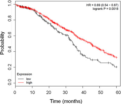 Kaplan Meier curves showing the good prognostic effect on overall survival of the higher expression of FHC gene.
