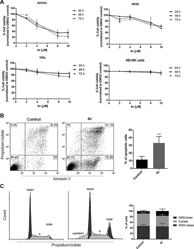 4c compound reduced cell viability inducing apoptosis and cell cycle arrest in NK leukemic cells.