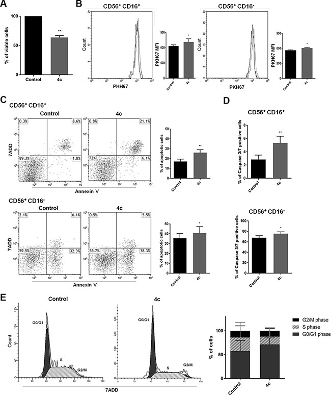 4c compound treatment reduced cell viability and proliferation, induced caspase 3-mediated apoptosis and cell cycle arrest in primary NK leukemic cells.