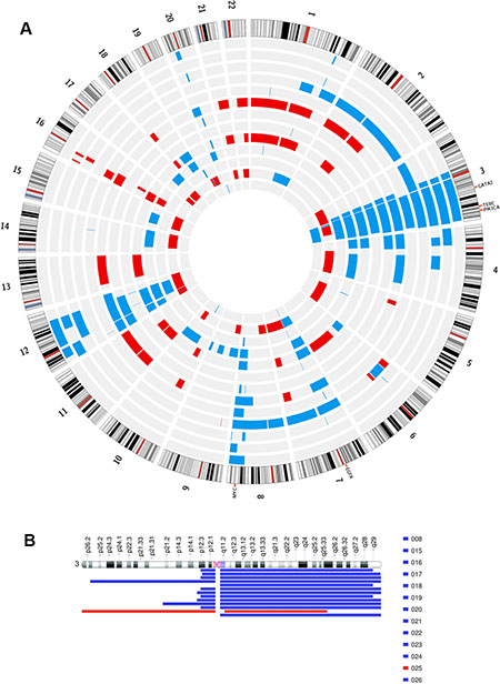 Figure 2: