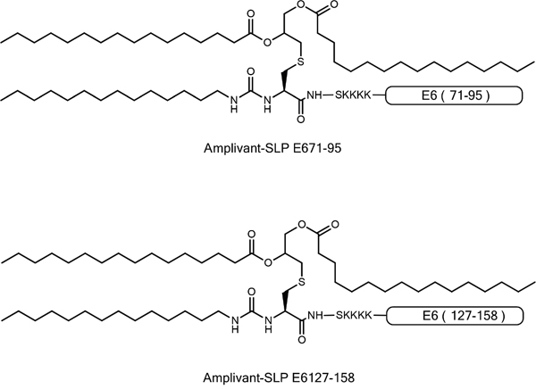 Representation of AV-SLP conjugates with HPV16 E6-derived amino acid sequences 71-95 and 127-158.