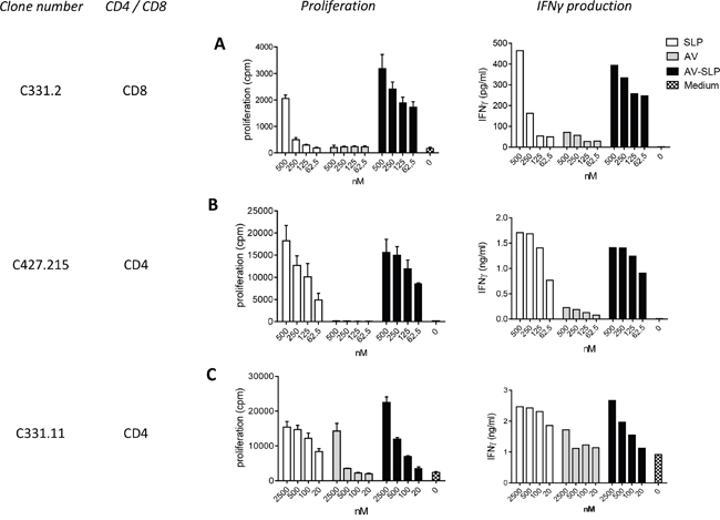 Enhanced CD8+ and similar CD4+ T cell clone proliferation induced by AV-SLP conjugates as compared to free SLP.