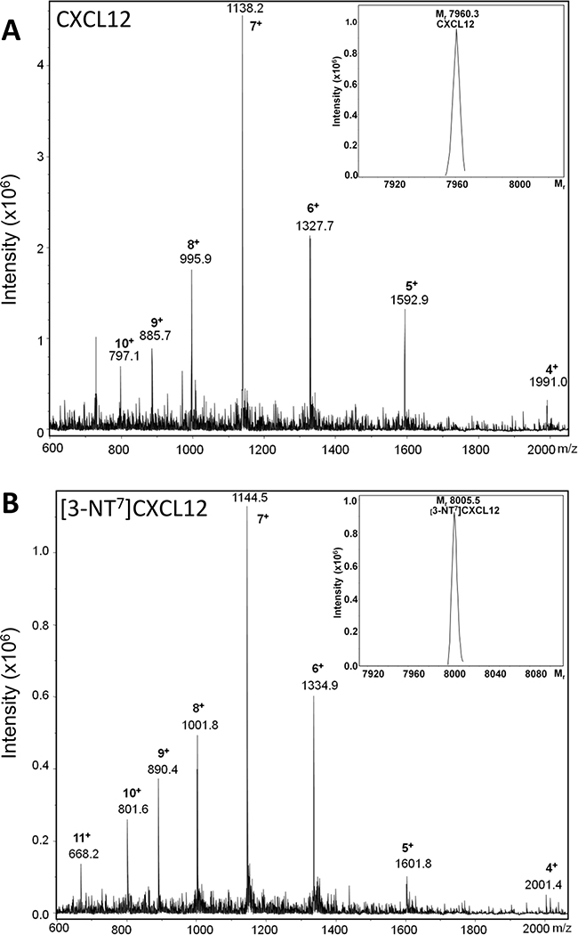 Mass spectrometric analysis of synthetic CXCL12 and [3-NT7]CXCL12.
