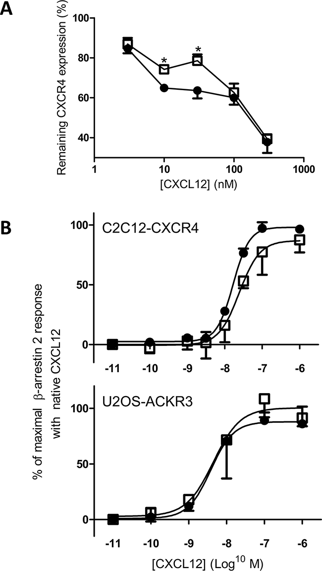 CXCR4 internalization and &#x03B2;-arrestin 2 recruitment through CXCR4 and ACKR3 in response to CXCL12 and [3-NT7]CXCL12 stimulation.