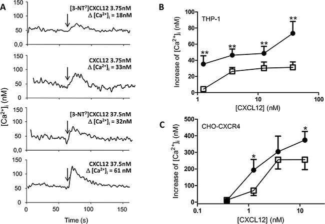 Calcium mobilization following CXCR4 activation with CXCL12 and [3-NT7]CXCL12.