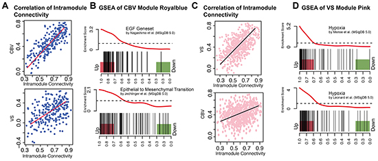 CBV and VS Specific modules.