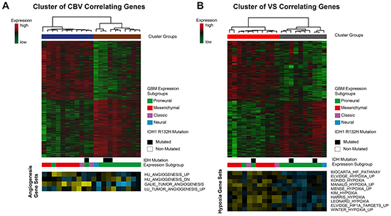 Cluster analysis of CBV and VS correlated genes.