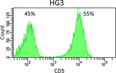 CD5 expression on cell line HG3.