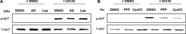 Feedback activation of PI3K-AKT pathway following MEK suppression is independent of EGFR.