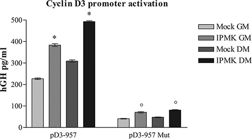 Effects of IPMK on cyclin D3 promoter activation.
