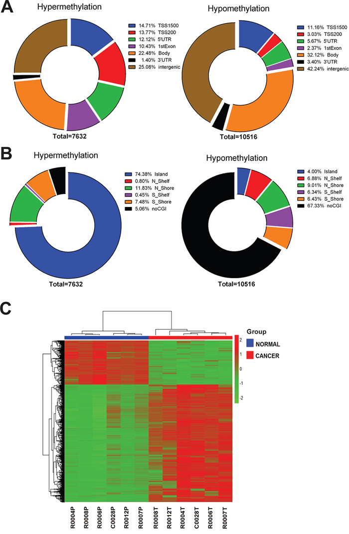 Distribution of probes with significant rectal cancer-related differential methylation changes in the human rectal carcinoma genome.