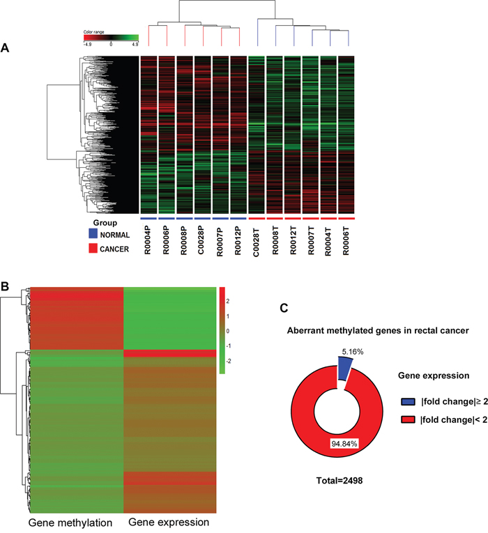 Integrated analysis of genome-wide DNA methylation and gene expression profiles.