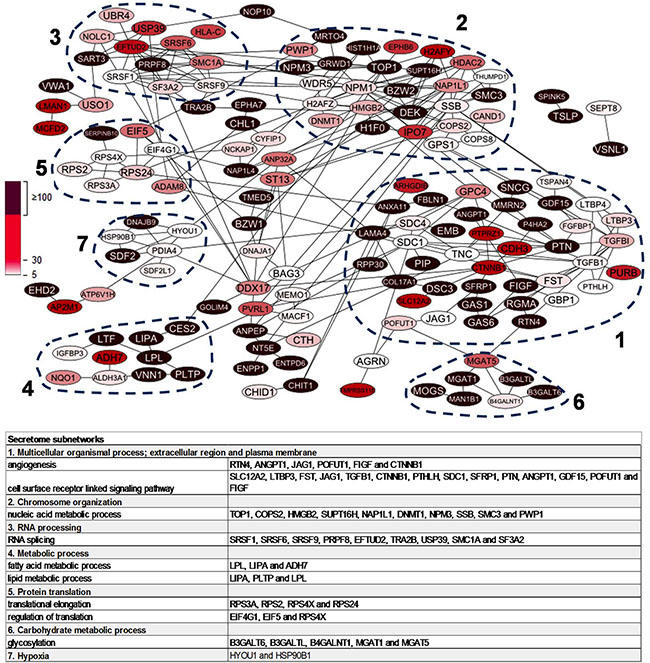 Protein-protein interaction network of 215 highly upregulated proteins in BRCA1-deficient relative to BRCA1-proficient secretomes.