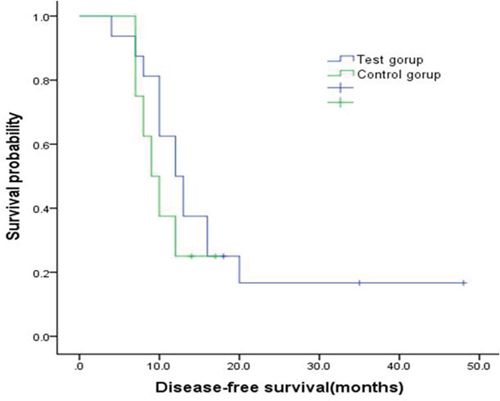 Kaplan-Meier curve for disease free survival by two group.