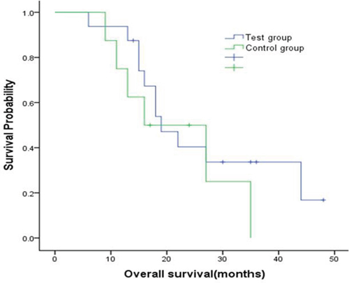 Kaplan-Meier curve for overall survival by two group.