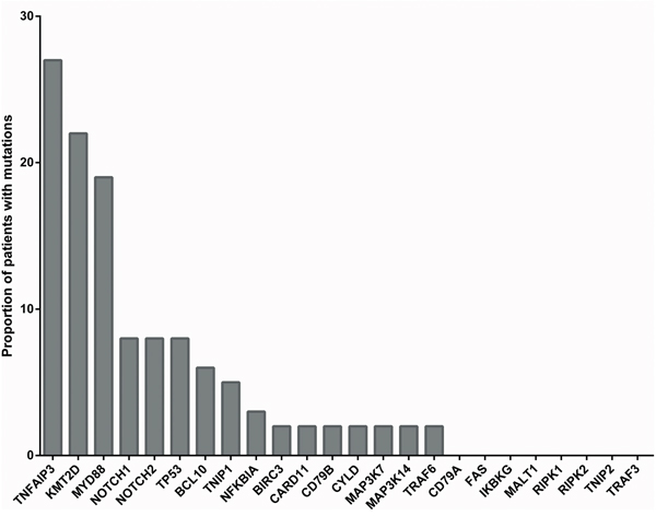 Proportion of OAML cases with mutations in the 24 genes analyzed.