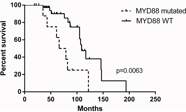 Kaplan-Meier estimates for disease-free survival regarding MYD88 mutation status in the OAML patient cohort (n=63 patients).