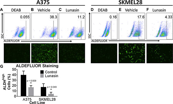 Lunasin depleted populations of cells displaying high ALDH activity.