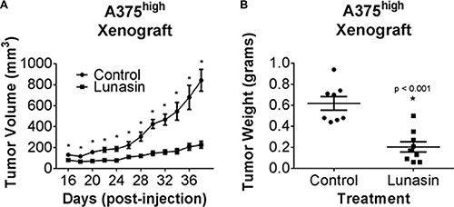 Lunasin inhibited CIC tumorigenesis in vivo.