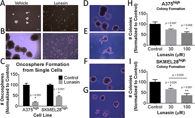 Lunasin reduced self-renewal capacity and oncosphere formation of CICs.