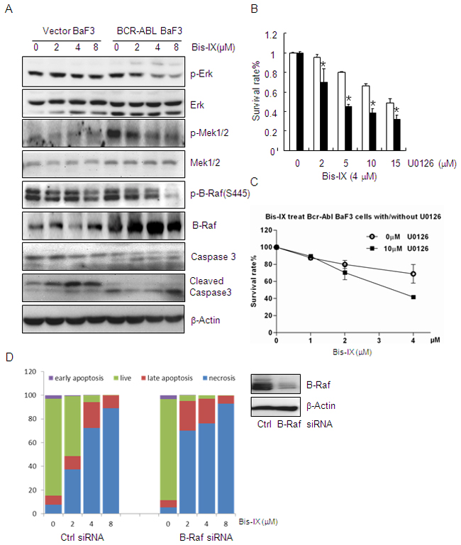 Bisindolylmaleimide IX shows increased cytotoxicity to BCR-ABL positive cells by inhibiting Raf-Erk signaling.