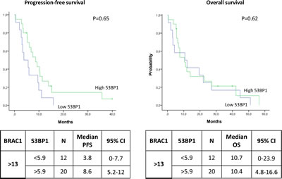 Kaplan-Meier curves showing (A) progression-free survival and (B) overall survival in patients with high BRCA1 expression according to 53BP1 expression levels.