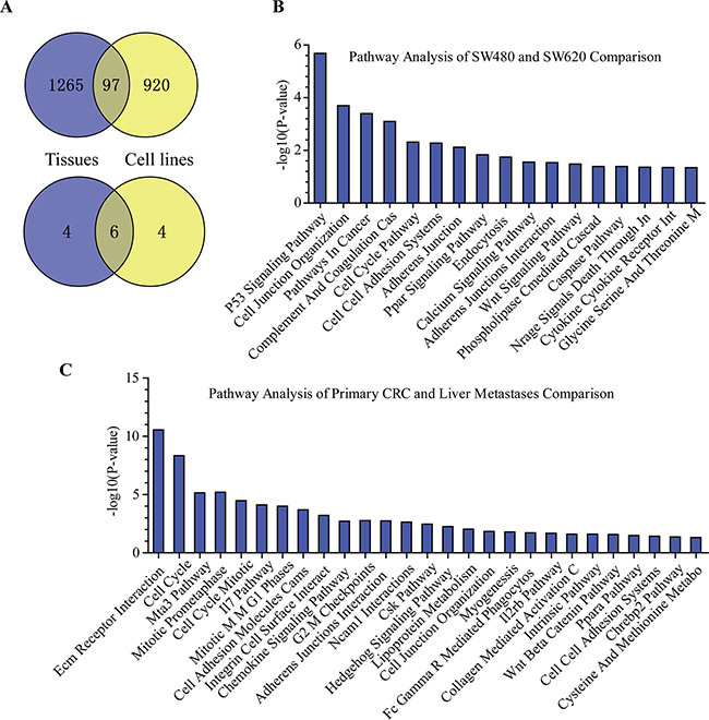 Comparison results of the differentially expressed genes between CRC primary-metastasis tissues and SW480-SW620 cell lines.