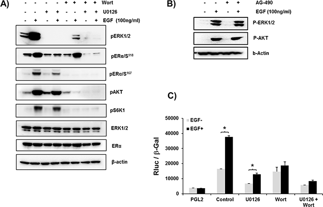 Figure 4: