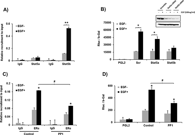 Figure 6: