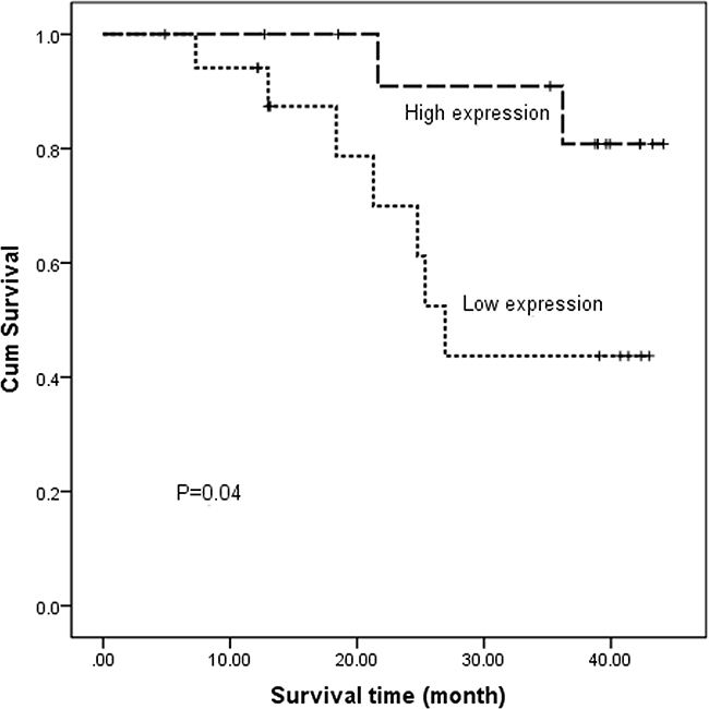 Kaplan&#x2013;Meier estimates of overall survival for ESCC patients according to different PTPN22 expression levels.