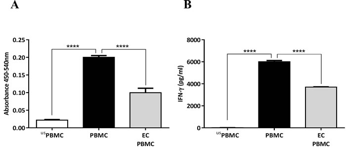Inhibition of PBMC proliferation and IFN-&#x3b3; production by human airway epithelial cells (ECs).