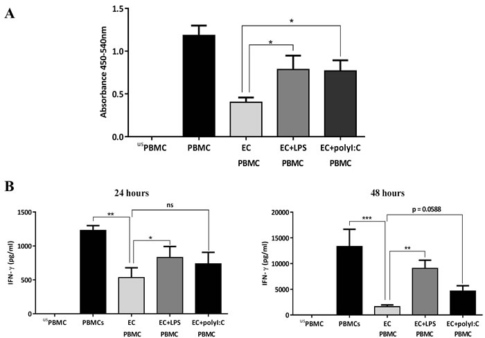 Influence of TLR-activated airway epithelial cells (ECs) on PBMC proliferation.