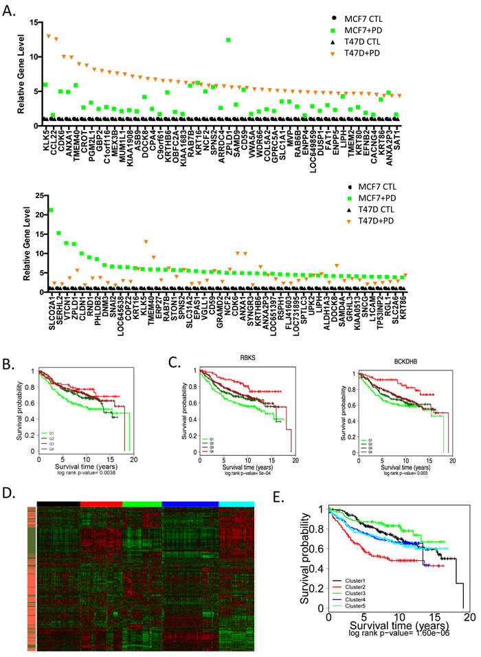 Unexpected impact of genes upregulated through CDK4/6 inhibition on prognosis