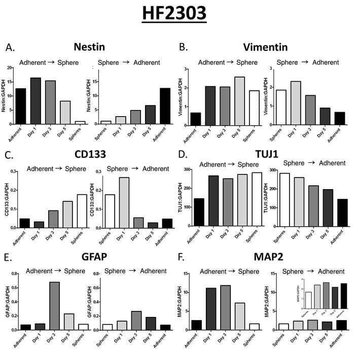 Several of the mRNAs (ie.